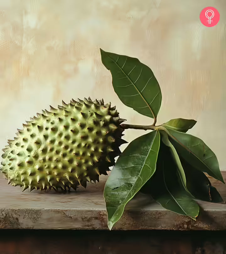 SOURSOP LEAVES (50 LEAVES) 14g