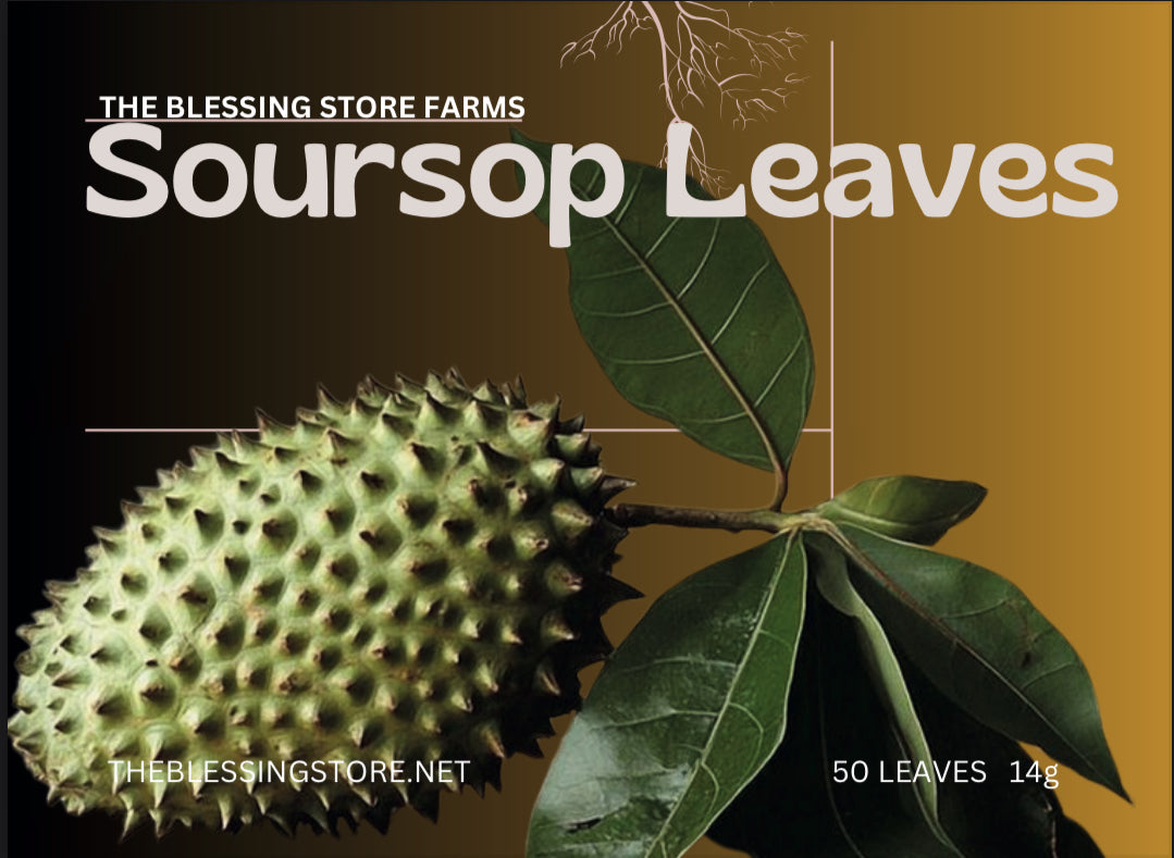 SOURSOP LEAVES (50 LEAVES) 14g