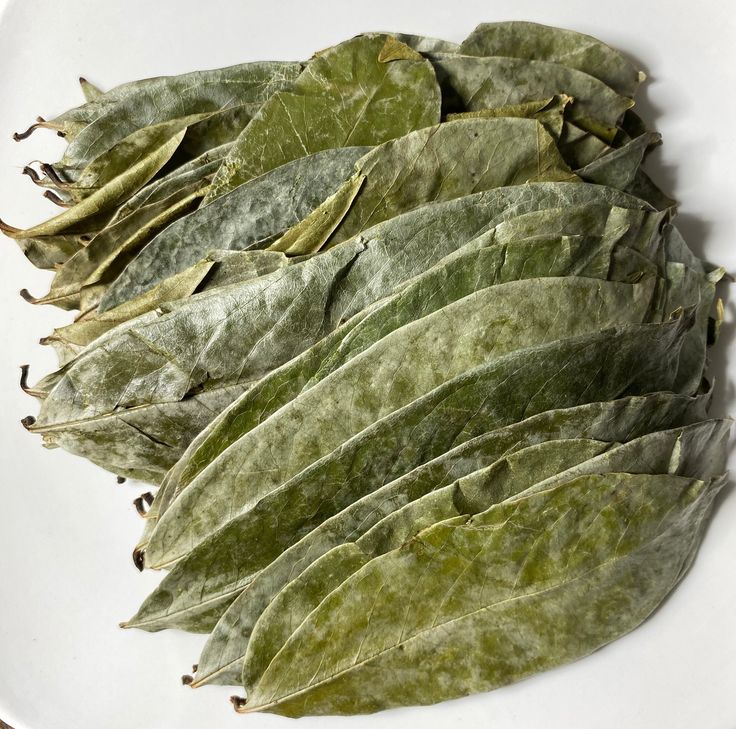 SOURSOP LEAVES (50)