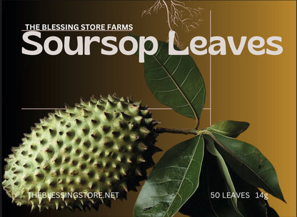 SOURSOP LEAVES (50 LEAVES) 14g